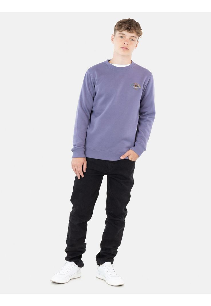 Poleron Logo Gradient Young Morado Juvenil Maui And Sons-3