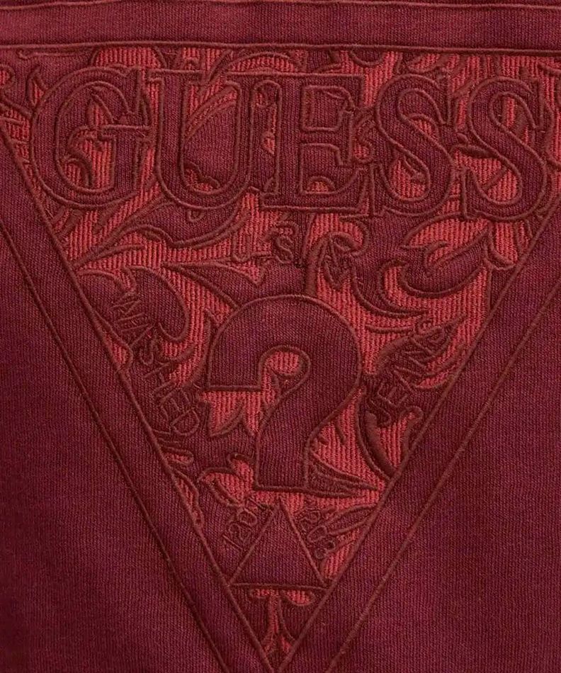 Poleron Guess Hombre Embroidered Triangle Hoodie Sweatshirt Rojo-2