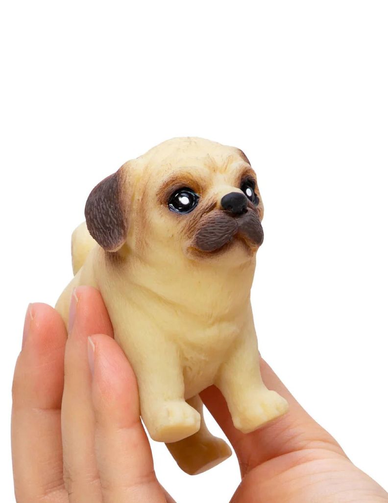 Perrito de bolsillo-2