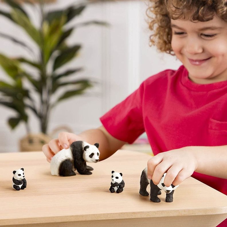 Familia de pandas-2