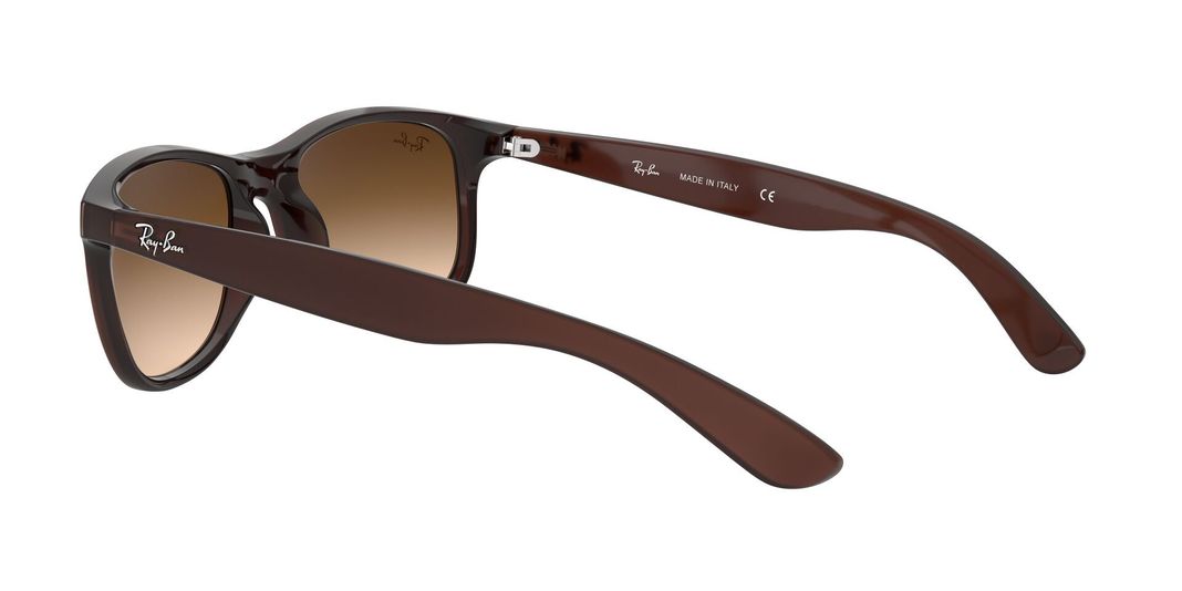 Ray-Ban Andy RB4202 607313 55-3