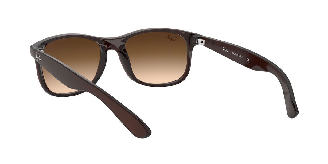 Ray-Ban Andy RB4202 607313 55-4