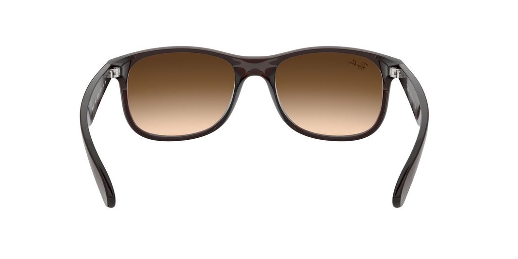 Ray-Ban Andy RB4202 607313 55-5