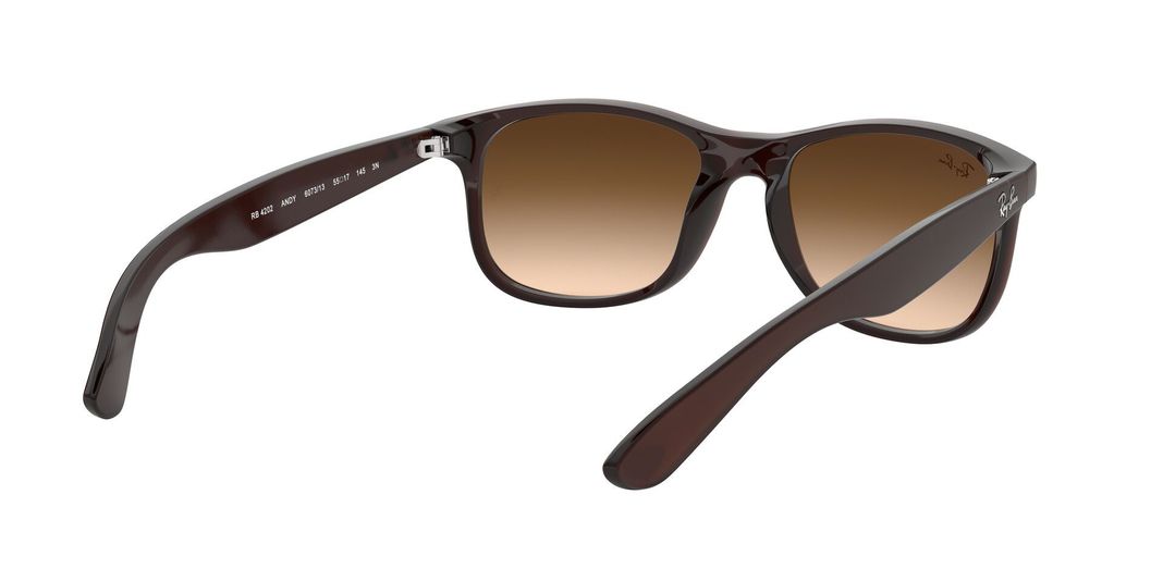Ray-Ban Andy RB4202 607313 55-6