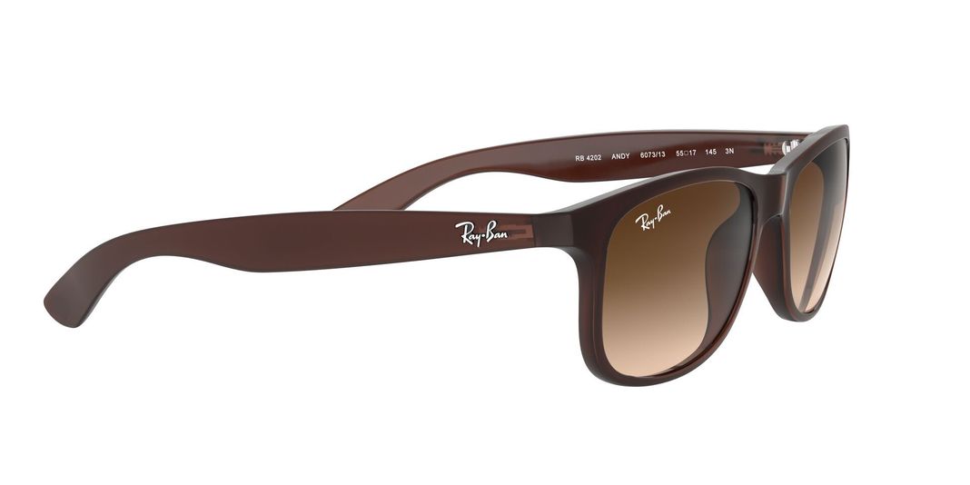 Ray-Ban Andy RB4202 607313 55-9