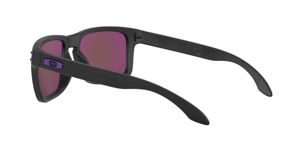 Oakley Holbrook Prizm-3