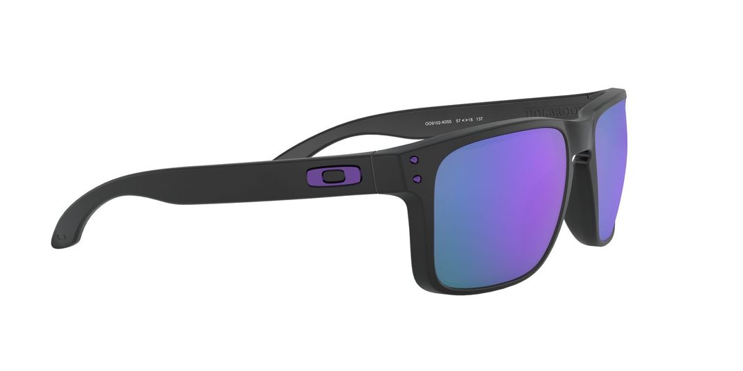Oakley Holbrook Prizm-9