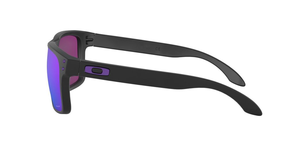 Oakley Holbrook Prizm-2