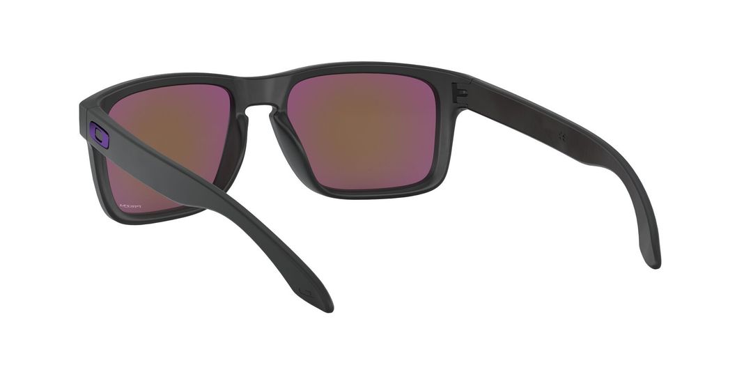 Oakley Holbrook Prizm-4