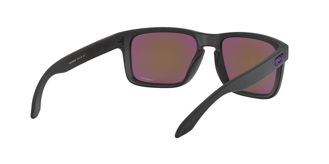 Oakley Holbrook Prizm-6