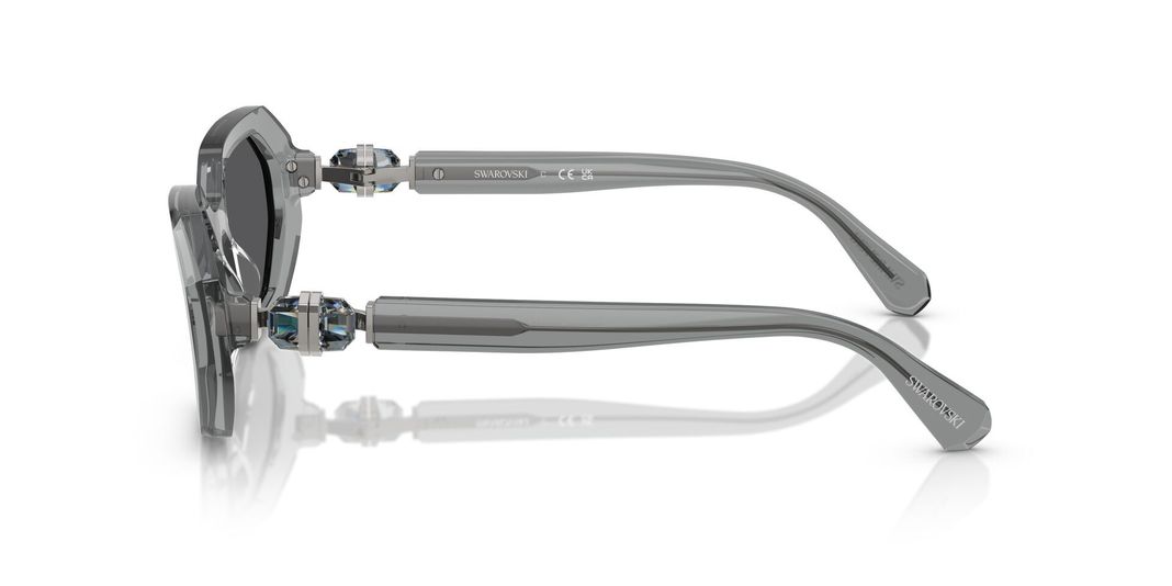 Swarovski  SK6028-1