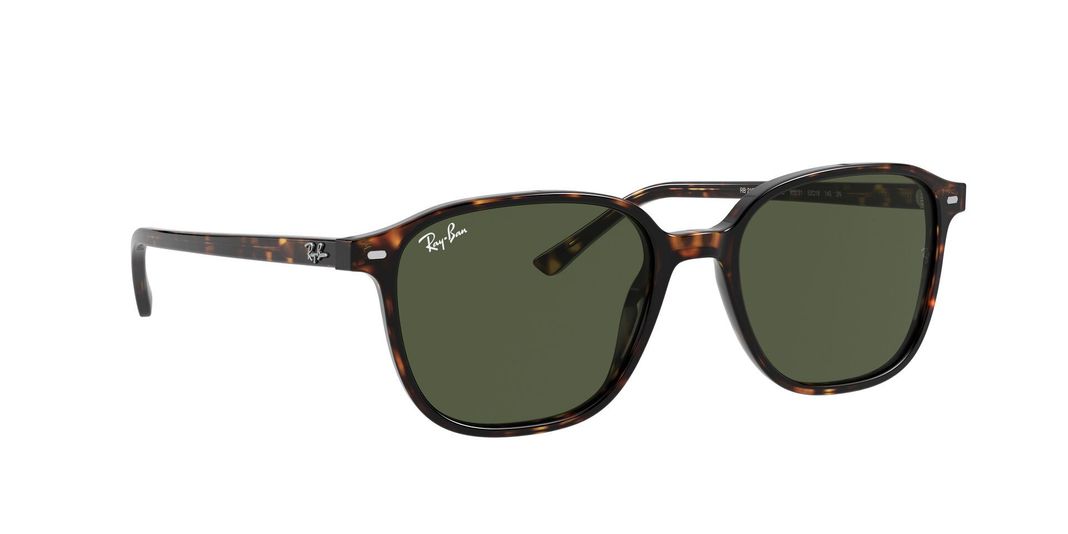Ray-Ban Leonard-10