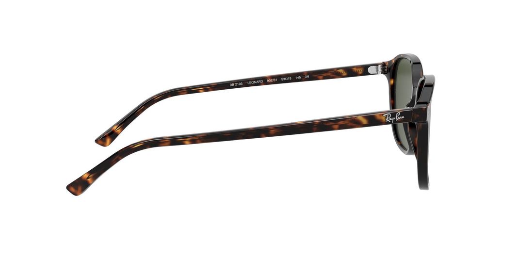 Ray-Ban Leonard-8