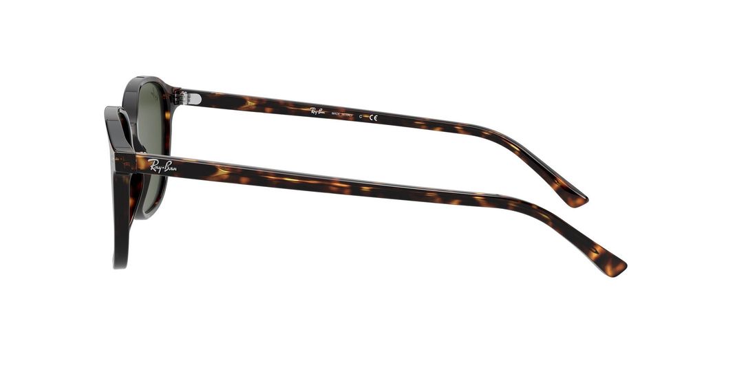 Ray-Ban Leonard-2