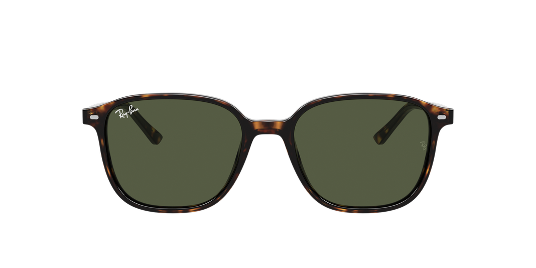 Ray-Ban Leonard-11