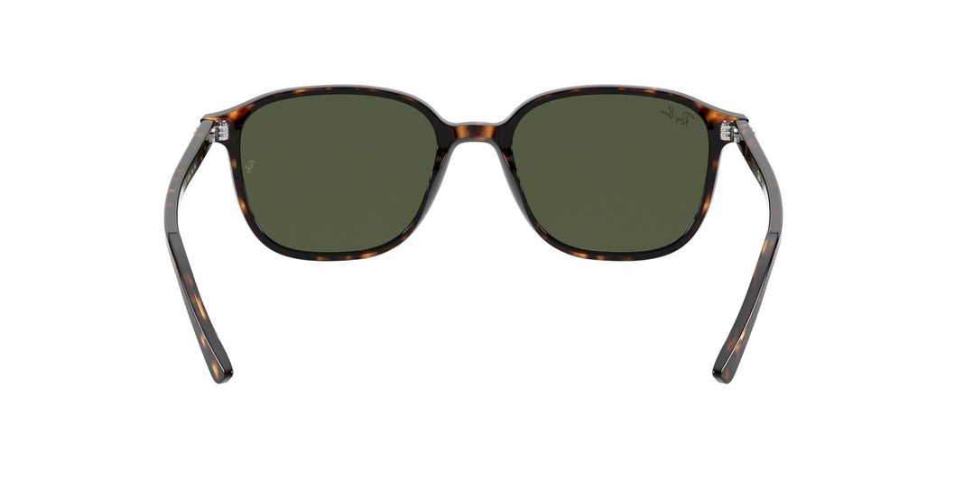 Ray-Ban Leonard-5