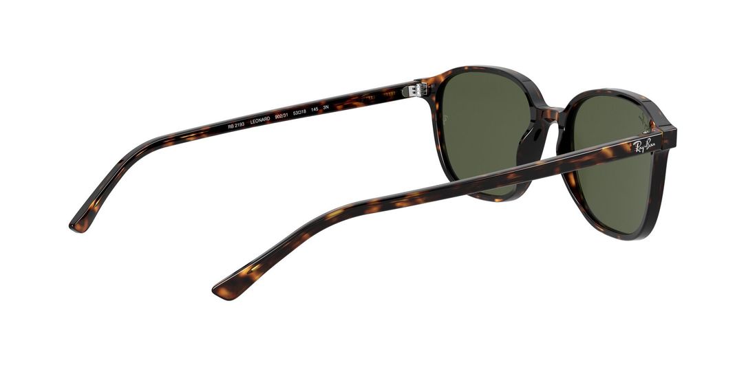 Ray-Ban Leonard-7