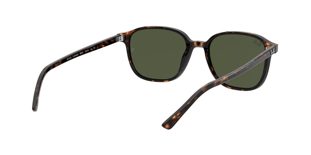 Ray-Ban Leonard-6
