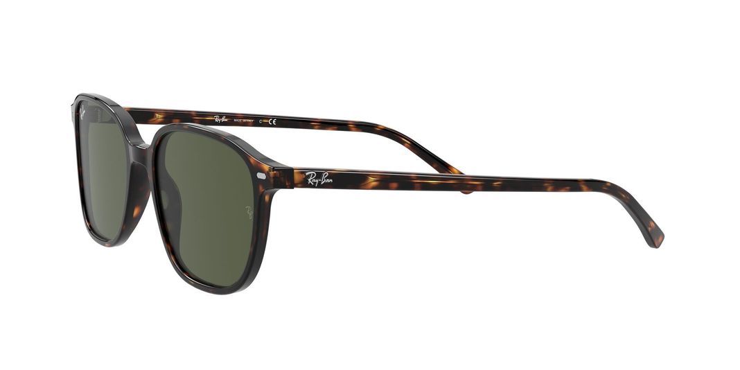 Ray-Ban Leonard-1
