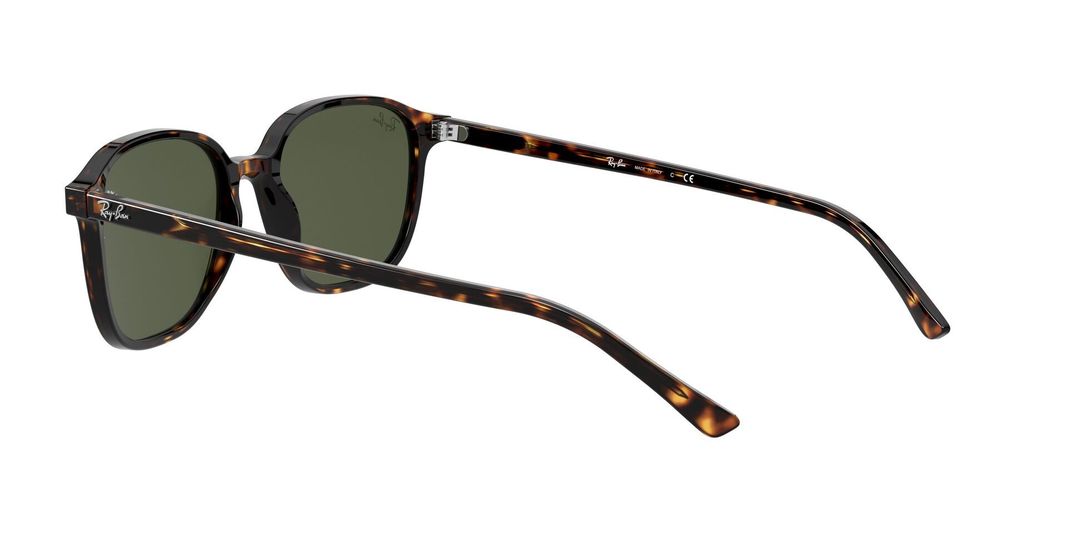 Ray-Ban Leonard-3