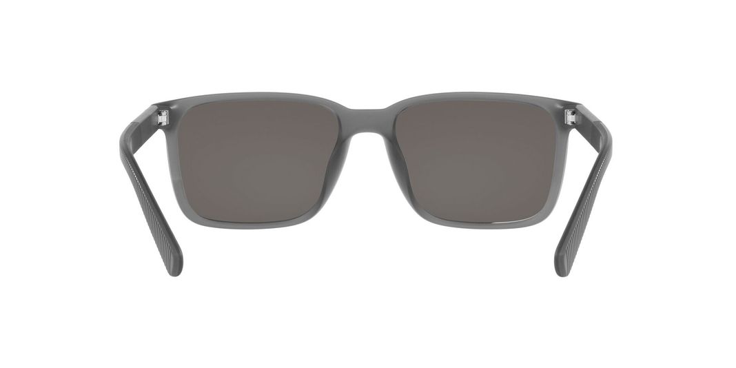 Polo Ralph Lauren PH4189U-5