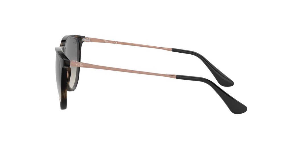 Ray-Ban Junior Erika (niños)-2