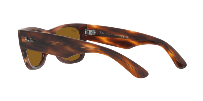 Ray-Ban Mega Wayfarer-2