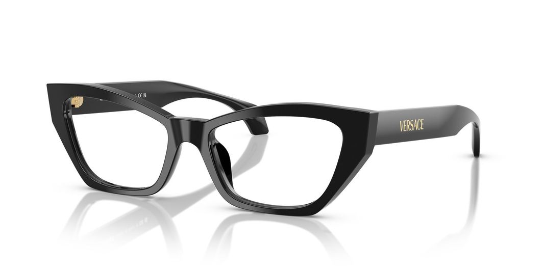 Versace VE3373U GB1 54