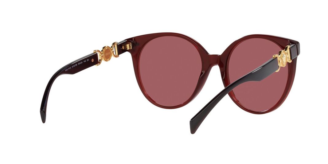 Versace VE4442-6