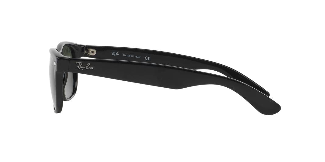 Ray-Ban New Wayfarer-2