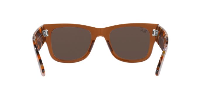 Ray-Ban Mega Wayfarer-2