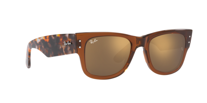 Ray-Ban Mega Wayfarer-3