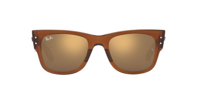 Ray-Ban Mega Wayfarer-4