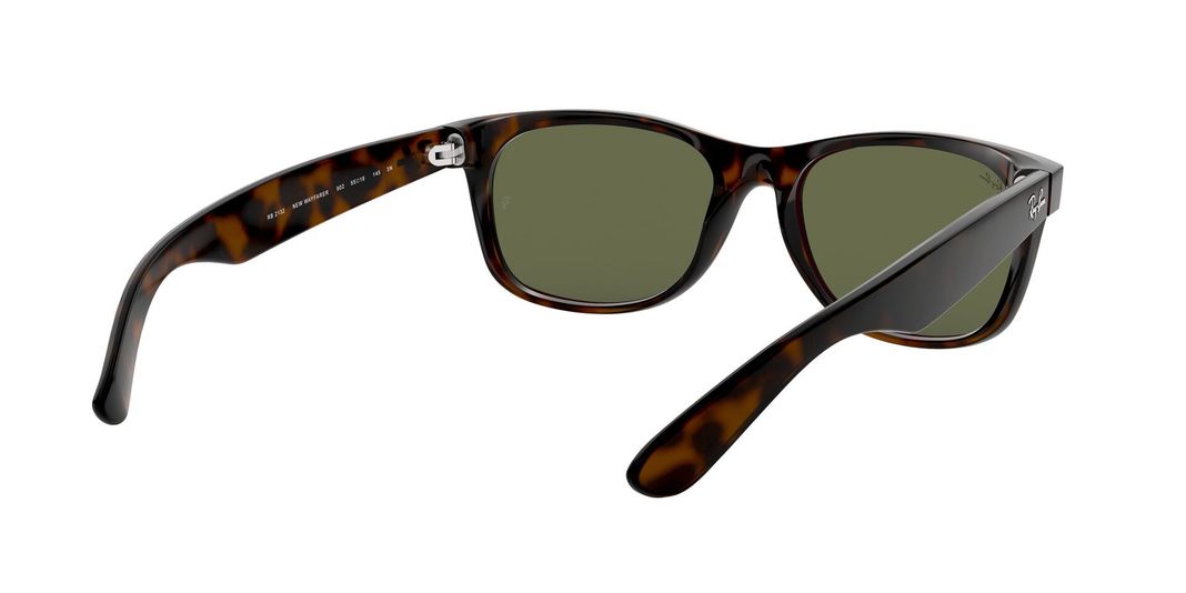 Ray-Ban New Wayfarer-6