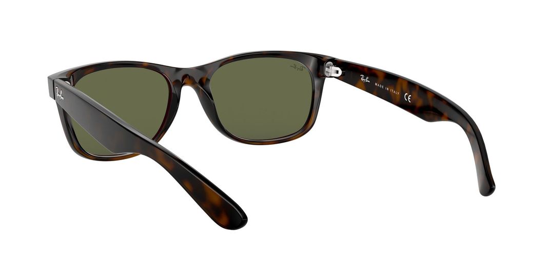 Ray-Ban New Wayfarer-4