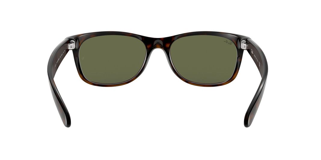 Ray-Ban New Wayfarer-5