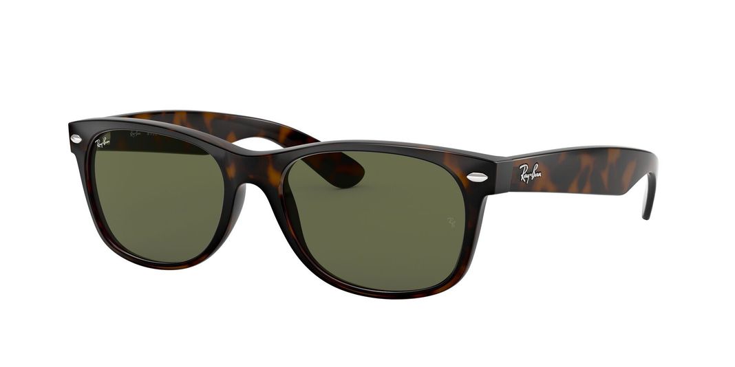 Ray-Ban New Wayfarer-0