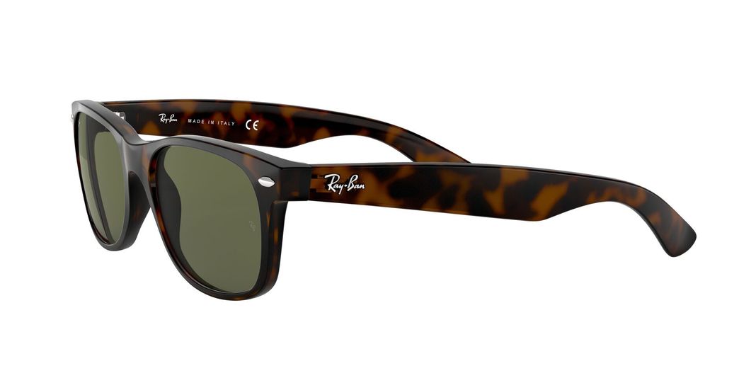 Ray-Ban New Wayfarer-1