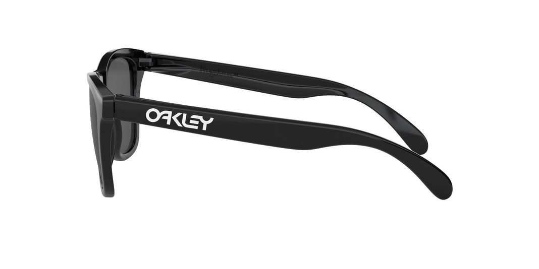 Oakley Frogskins-2