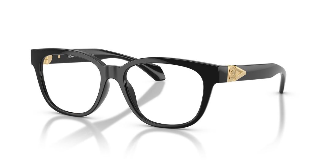 Versace VE3376U GB1 53