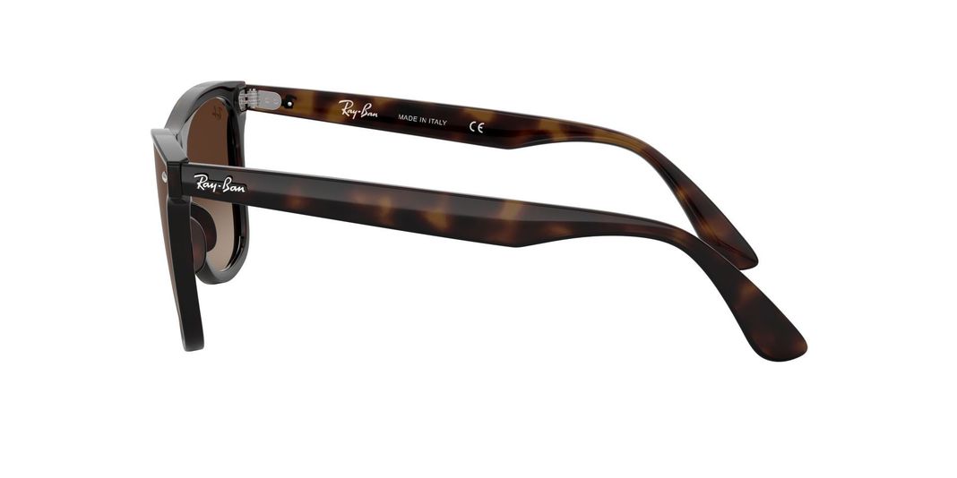 Ray-Ban Wayfarer RB4440N Blaze-2
