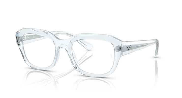Ray-Ban Leonid RX7225  RX7225 8319 54-0