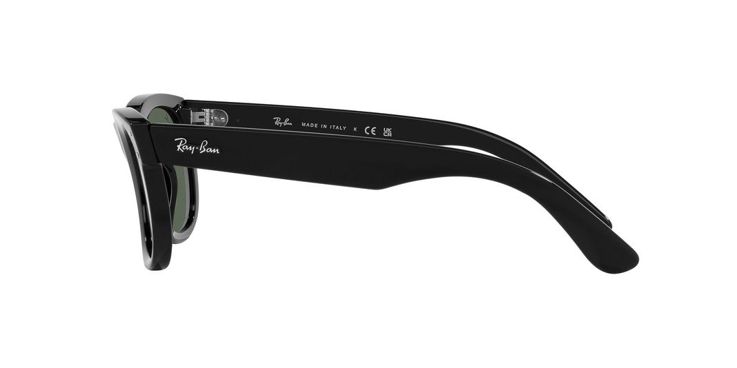 Ray-Ban Wayfarer Reverse-2