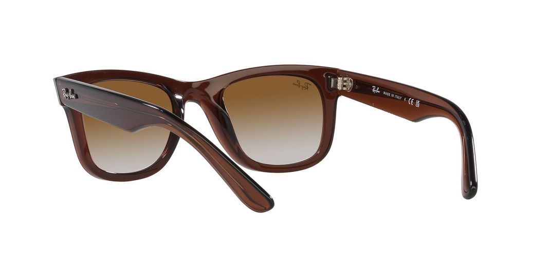 Ray-Ban Wayfarer Reverse RBR0502S 6709CB 50-4