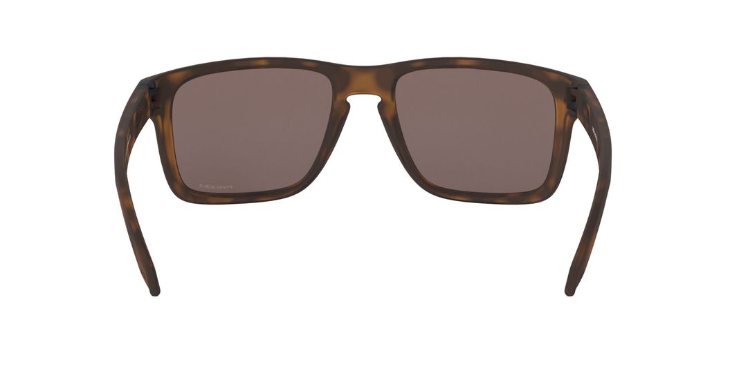 Oakley Holbrook XL Prizm-5