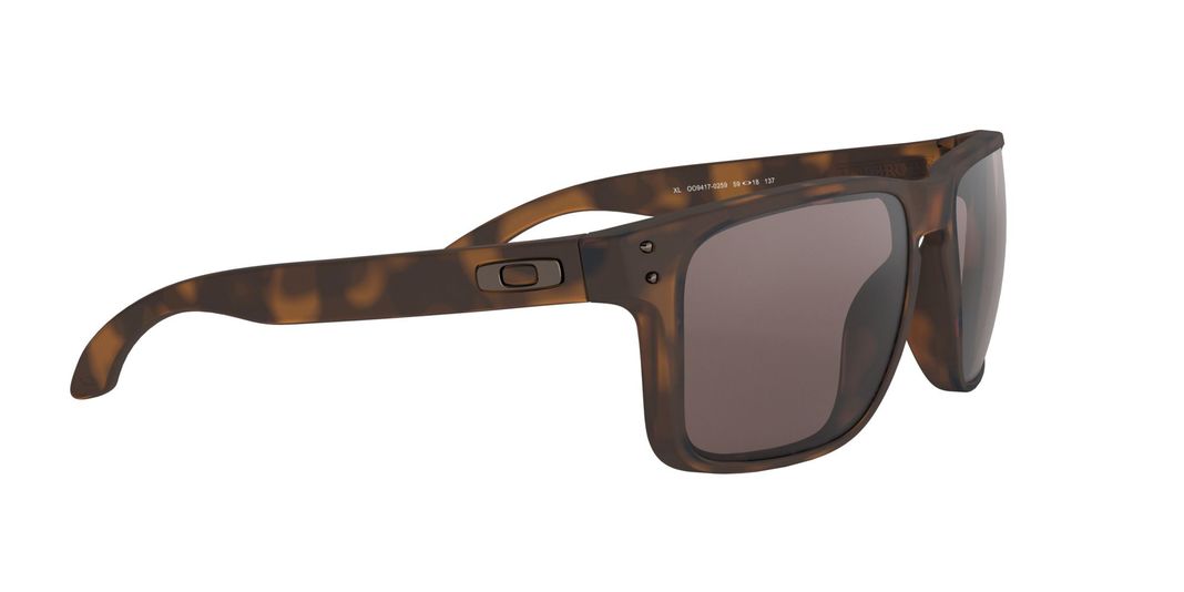 Oakley Holbrook XL Prizm-9