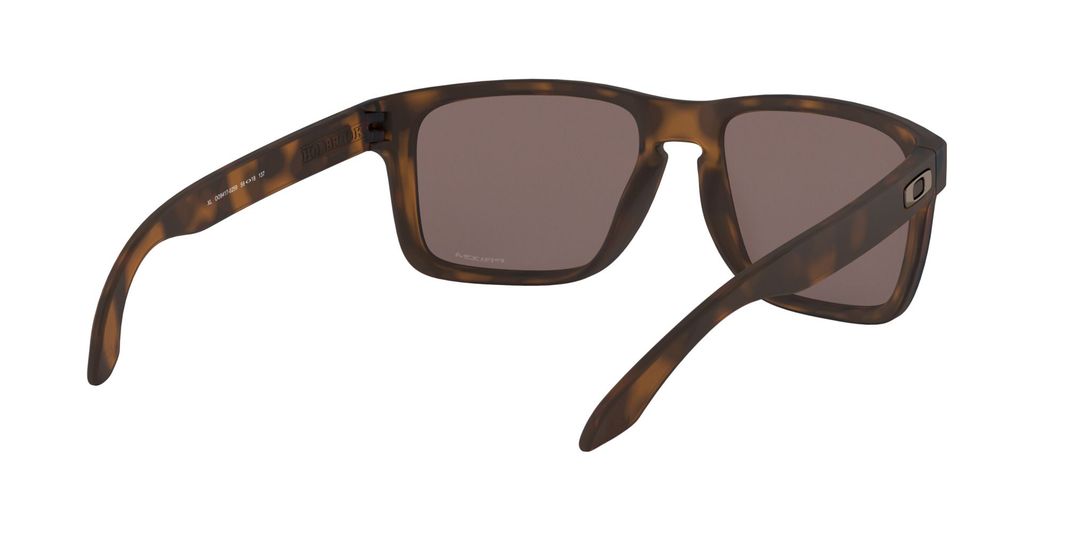 Oakley Holbrook XL Prizm-6