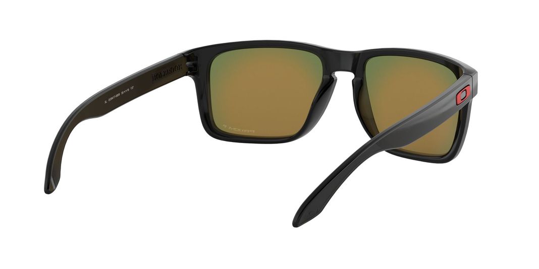 Oakley Holbrook XL Polarizado y Prizm-6