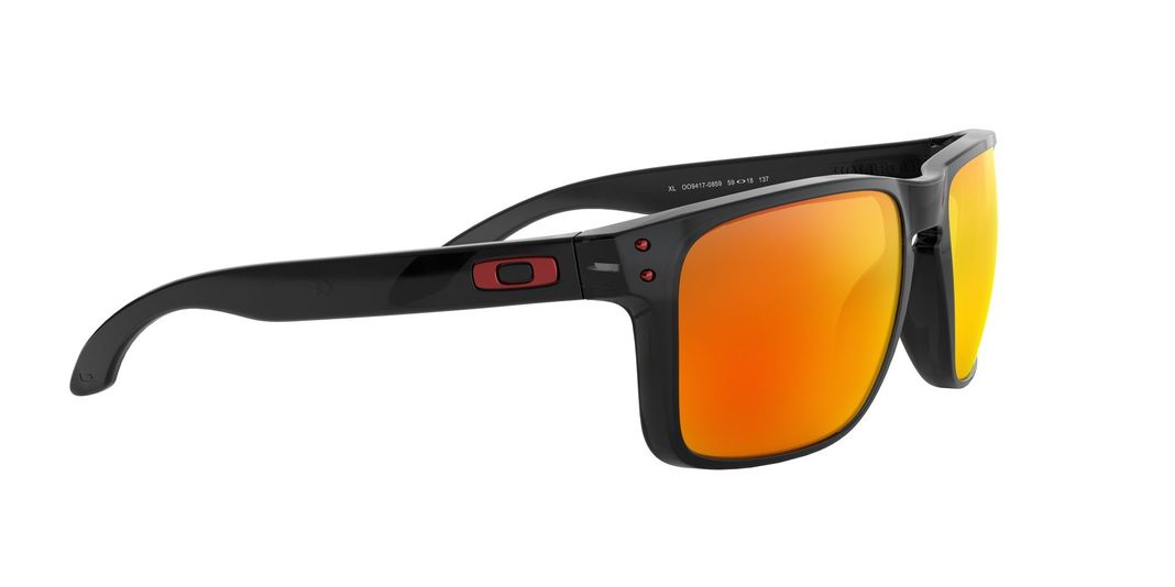 Oakley Holbrook XL Polarizado y Prizm-9