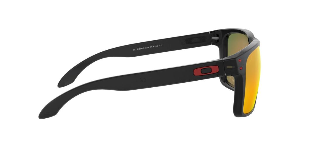 Oakley Holbrook XL Polarizado y Prizm-8